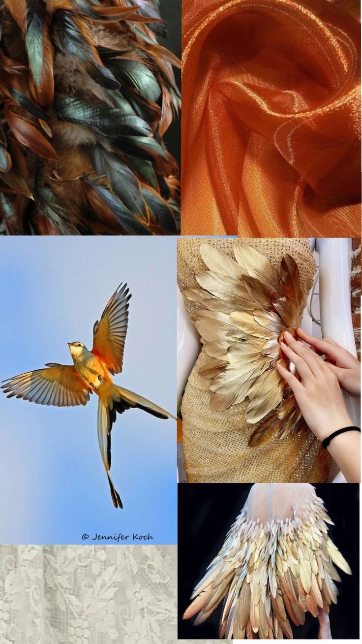 Moodboard -Flight